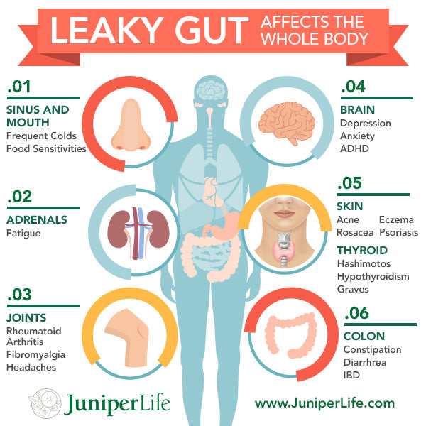 4 Product Empower Bundle