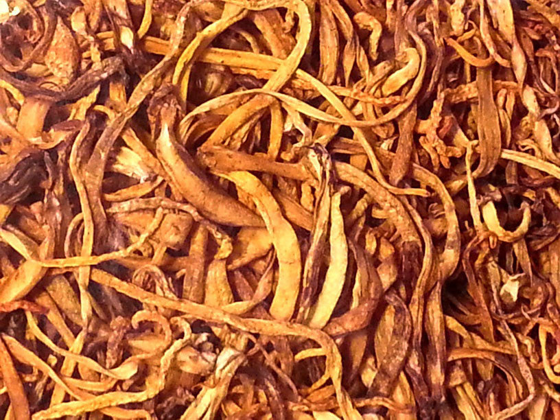 Cordyseps Sinesis
