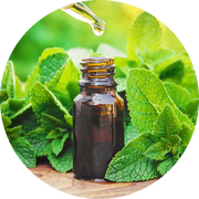 Peppermint Oil