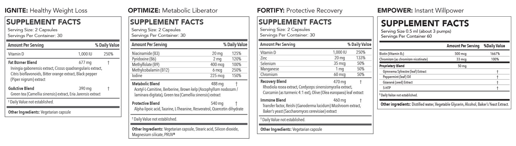 Transformation Program REFILL - IGNITE, OPTIMIZE, FORTIFY, EMPOWER